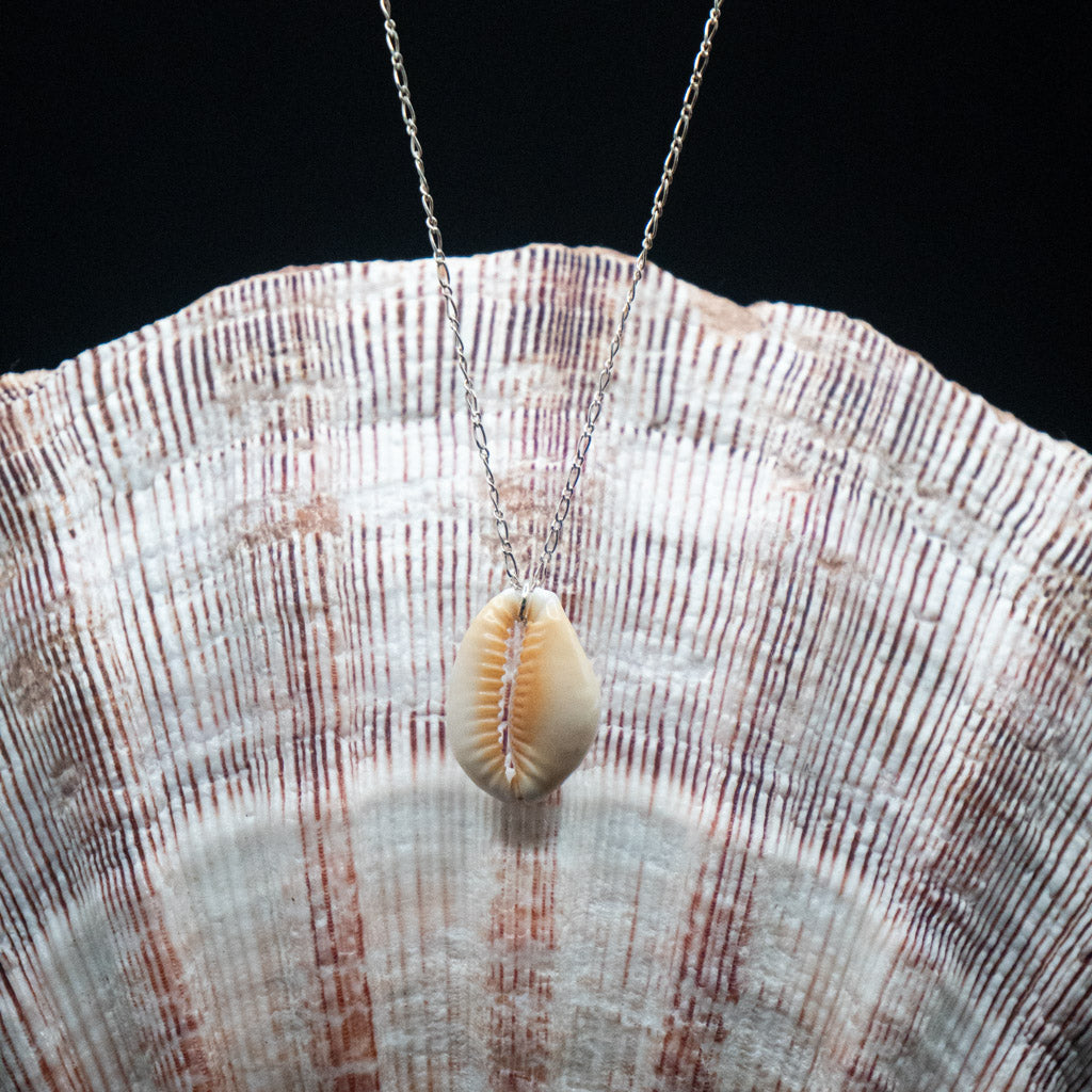 Hawaiian Cowrie Shell Necklace | Sterling Silver | 16"