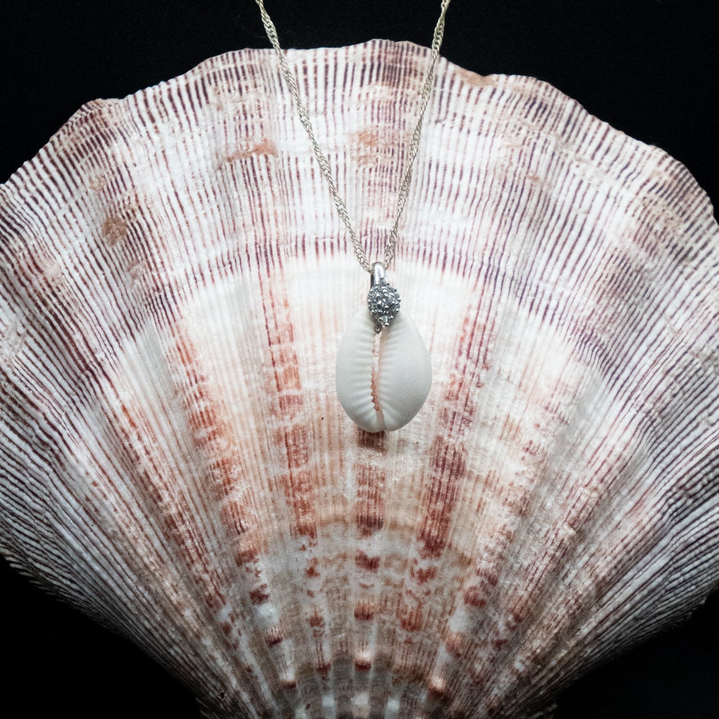 Hawaiian Cowrie Shell Necklace | 16” Chain
