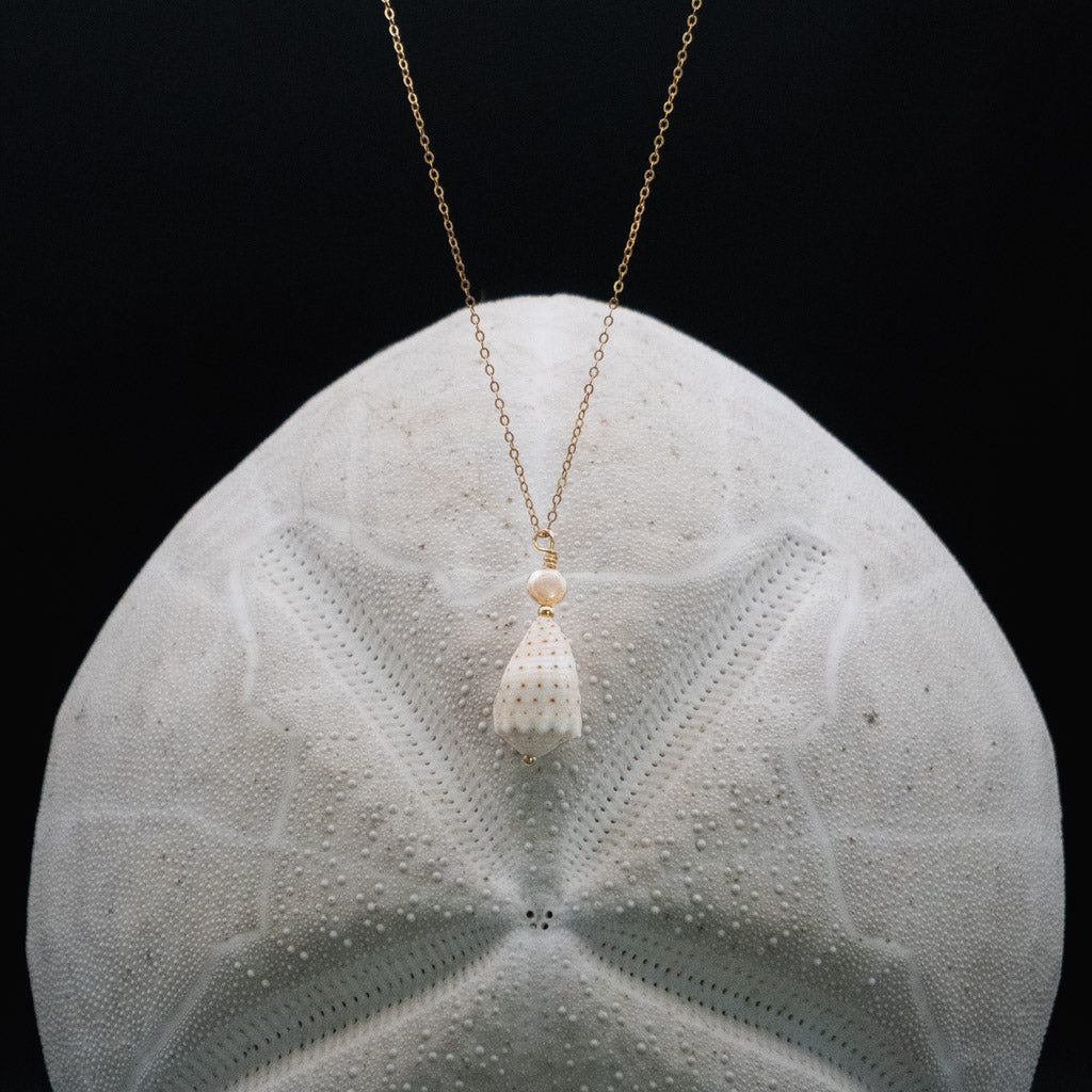 Hawaiian Abbreviated Cone Shell Necklace | Gold Filled | 19" Chain