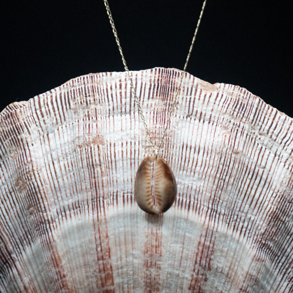 Hawaiian Cowrie Shell Necklace | Sterling Silver | 16"