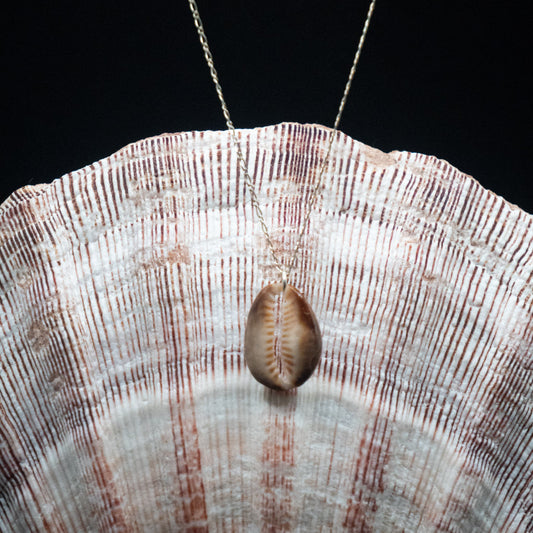 Hawaiian Cowrie Shell Necklace | Sterling Silver | 16"