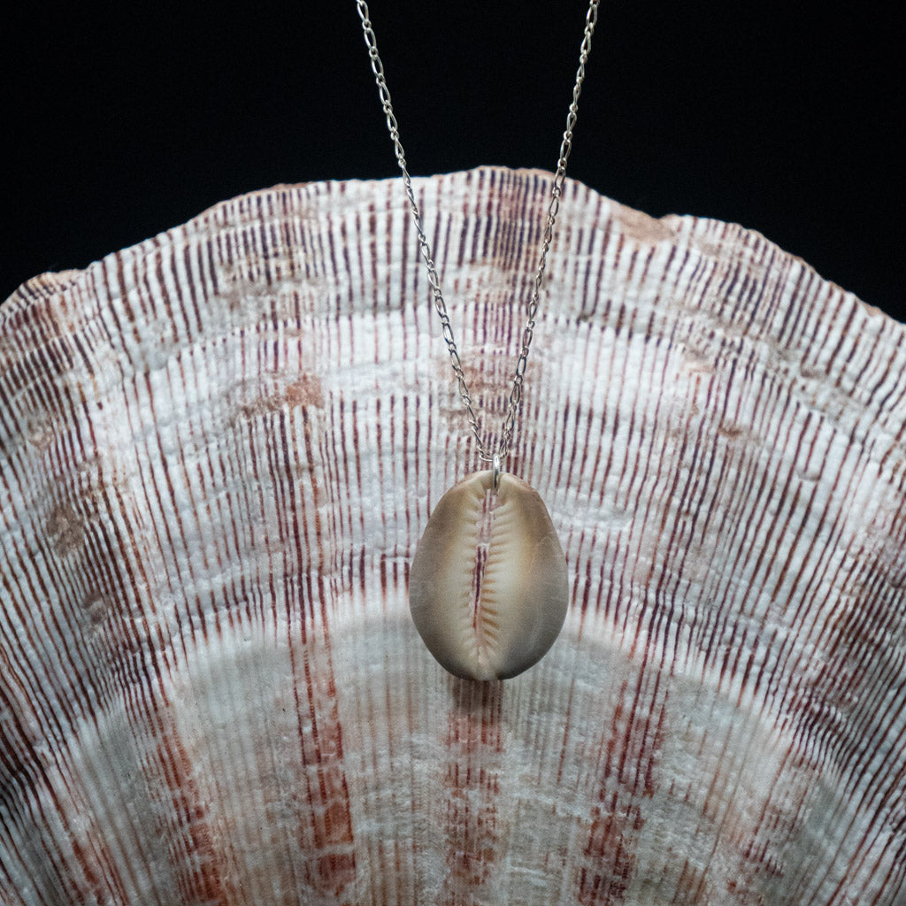 Hawaiian Cowrie Shell Necklace | Sterling Silver | 16"