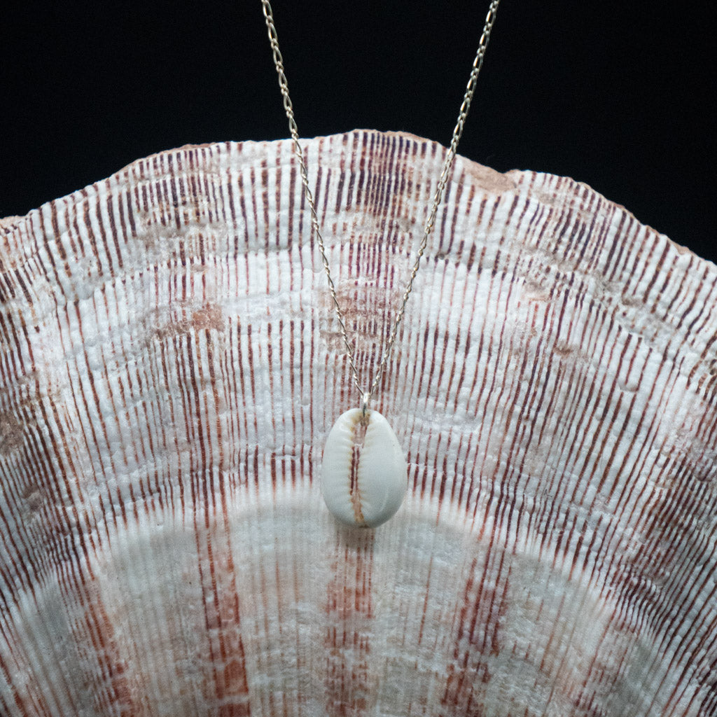 Hawaiian Cowrie Shell Necklace | Sterling Silver | 16"
