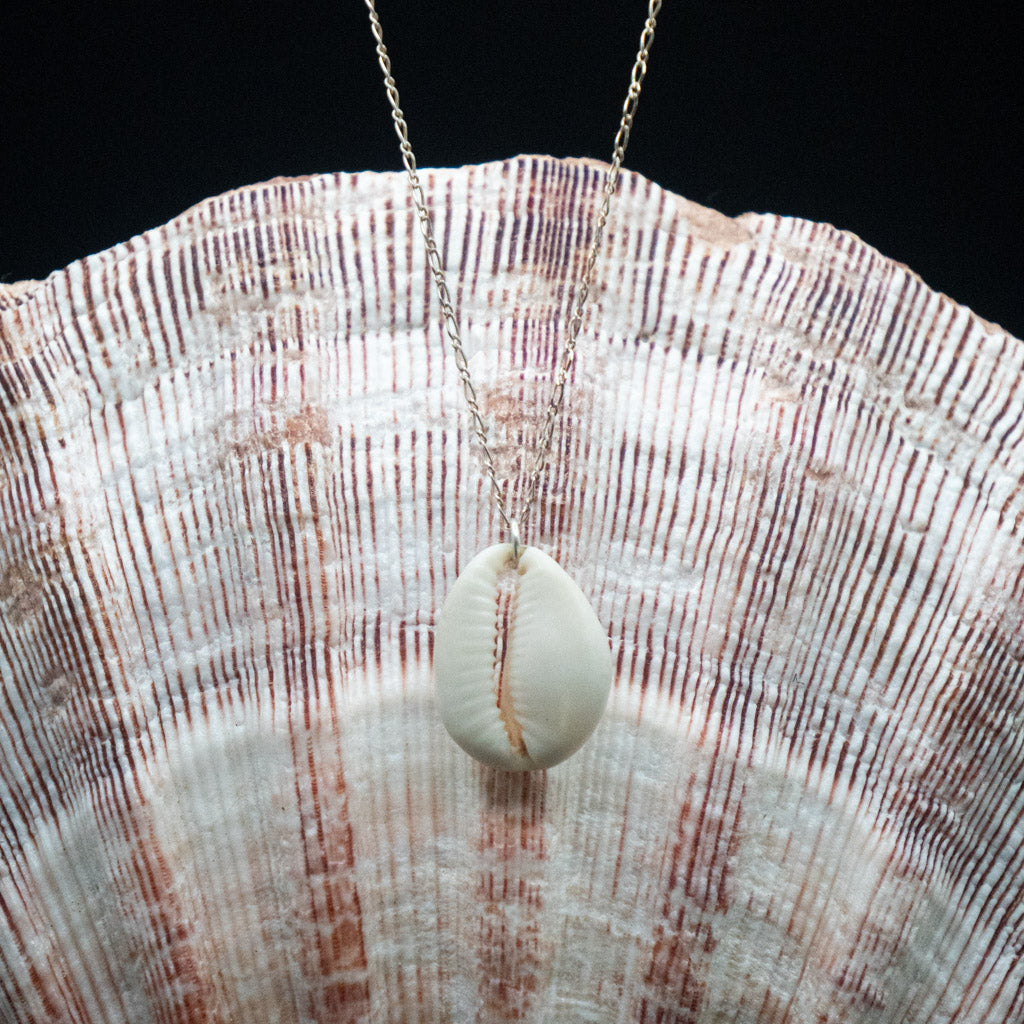 Hawaiian Cowrie Shell Necklace | Sterling Silver | 16"