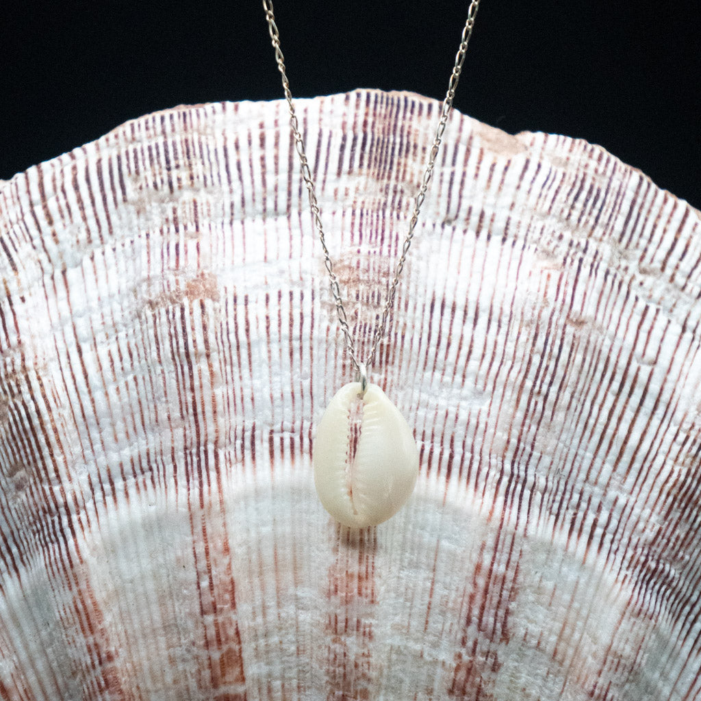 Hawaiian Cowrie Shell Necklace | Sterling Silver | 16"
