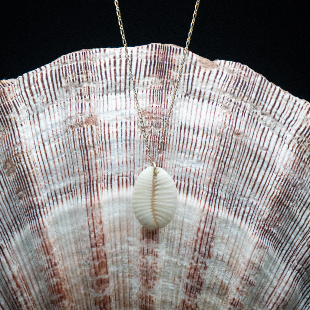 Hawaiian Cowrie Shell Necklace | Sterling Silver | 16"