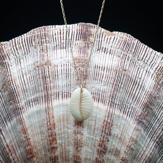 Hawaiian Cowrie Shell Necklace | Sterling Silver | 16"