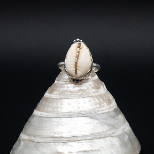 Cowrie Shell Ring | Sterling Silver | Size 6
