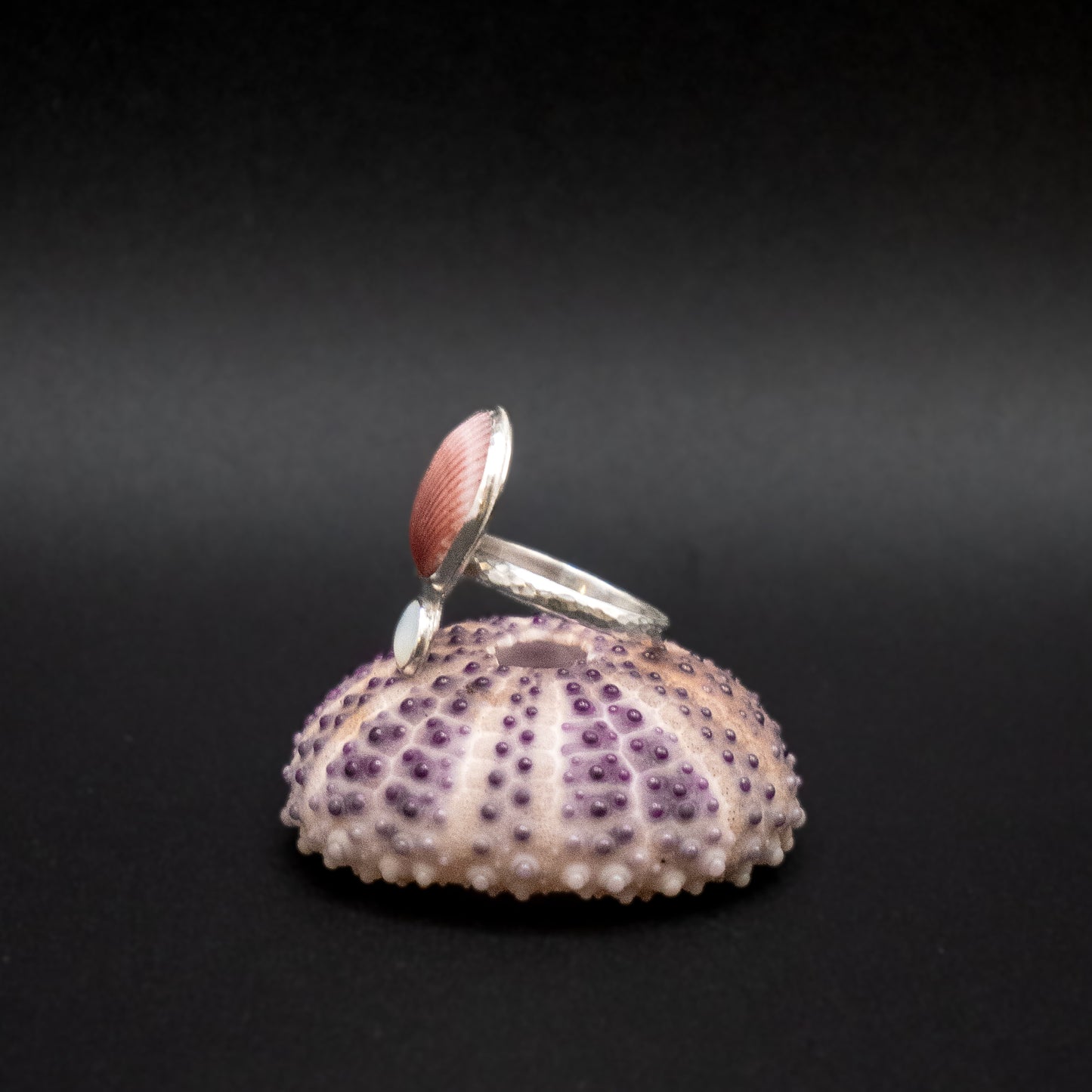 Sea Shell & Mother-of-Pearl Ring | Hammered Sterling Silver | Size 8