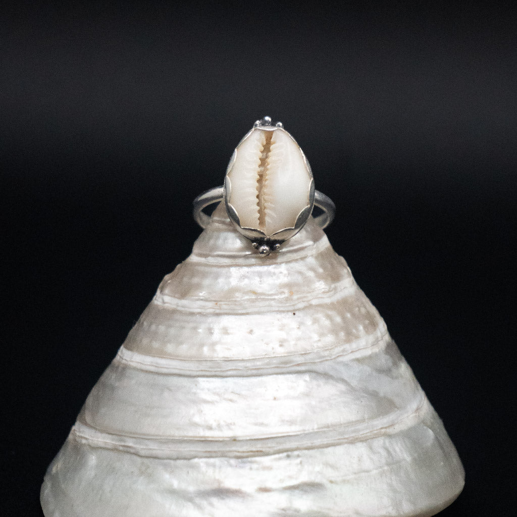 Cowrie Shell Ring | Sterling Silver | Size 7