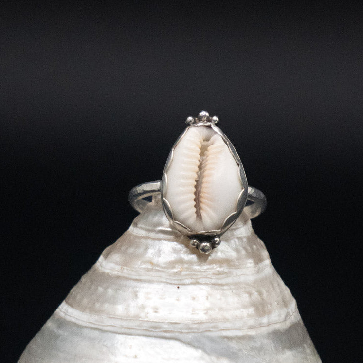 Cowrie Shell Ring | Sterling Silver | 8.75