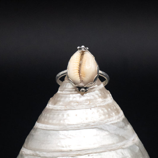 Cowrie Shell Ring | Sterling Silver | Size 9.5