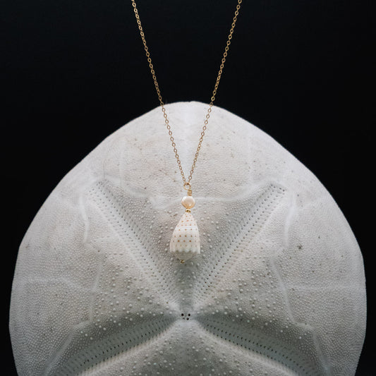 Hawaiian Abbreviated Cone Shell Necklace | Gold Filled | 19" Chain