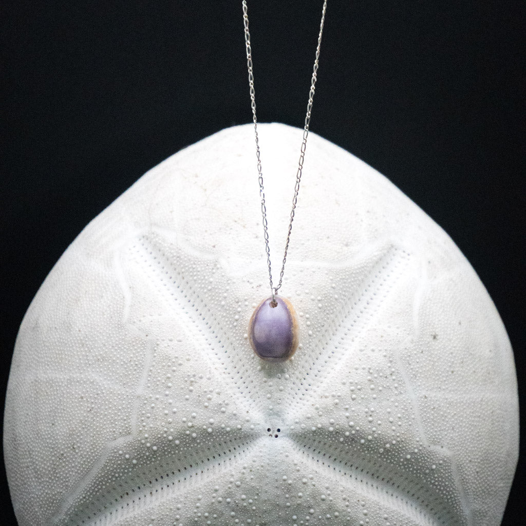 Hawaiian Honey Cowrie Necklace | Sterling Silver | 16"