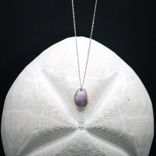Hawaiian Honey Cowrie Necklace | Sterling Silver | 16"