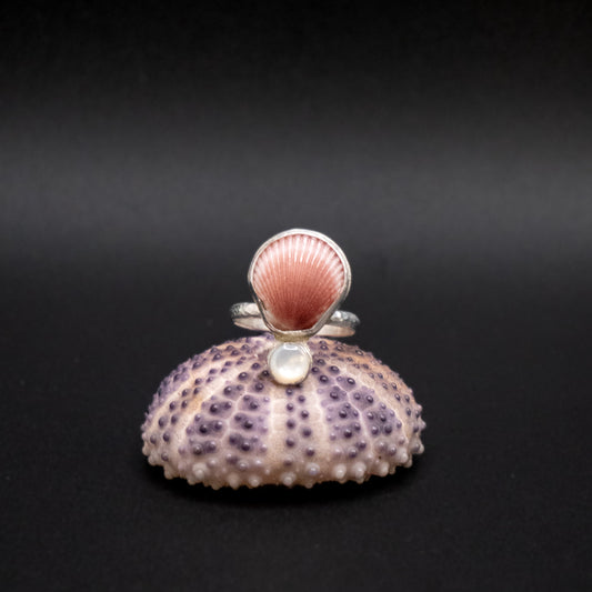 Sea Shell & Mother-of-Pearl Ring | Hammered Sterling Silver | Size 8